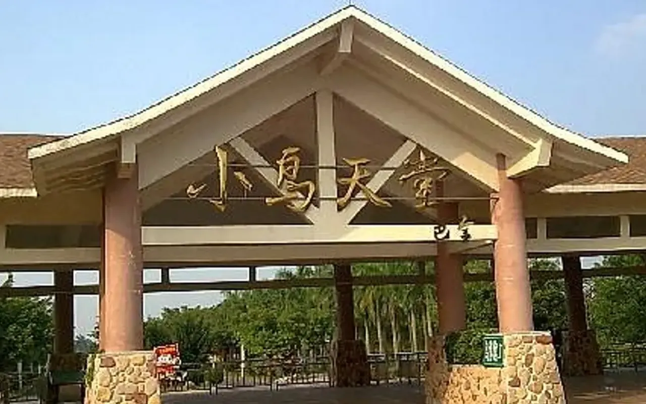 main photo